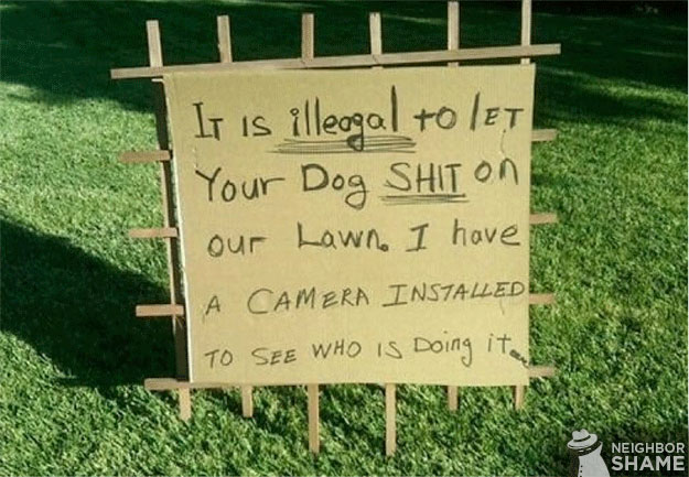 Illegal-shitting-on-lawn