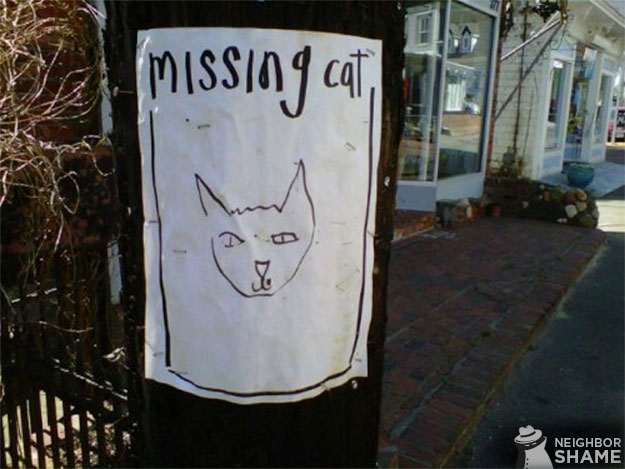 Missing-Cat-Sketch