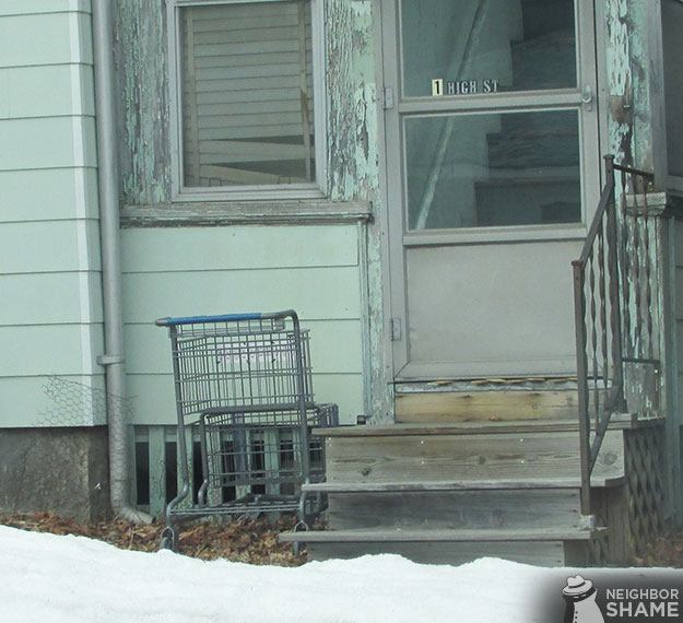 High-Street-Shopping-Cart