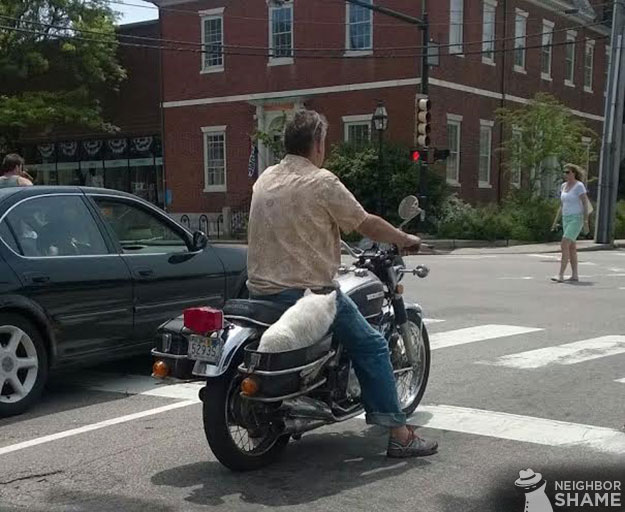 motorcycle-white-dog